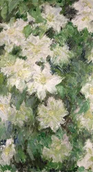 Weiße Clematis, 1887